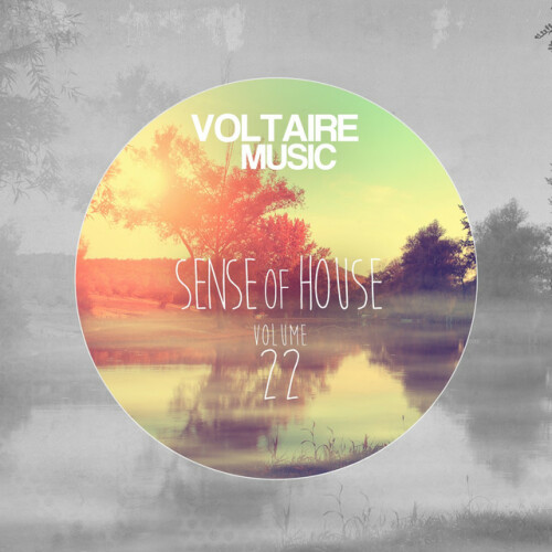 Various Artists - Sense of House, Vol. 22 (2014) Download