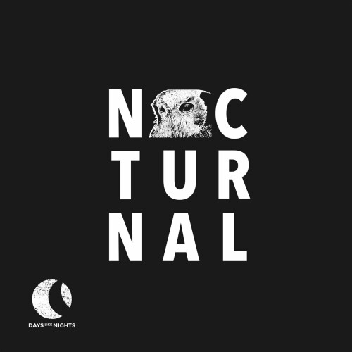 Various Artists – Nocturnal 012 (2024)