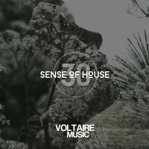 Various Artists - Sense of House, Vol. 3 (2012) Download