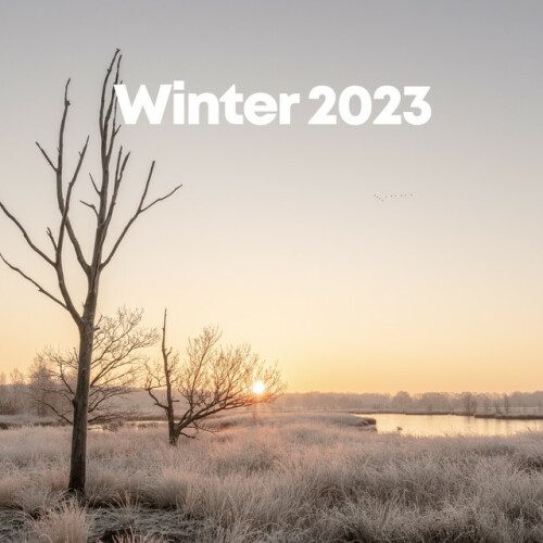 Various Artists – Winter Collection 2022 (2022)