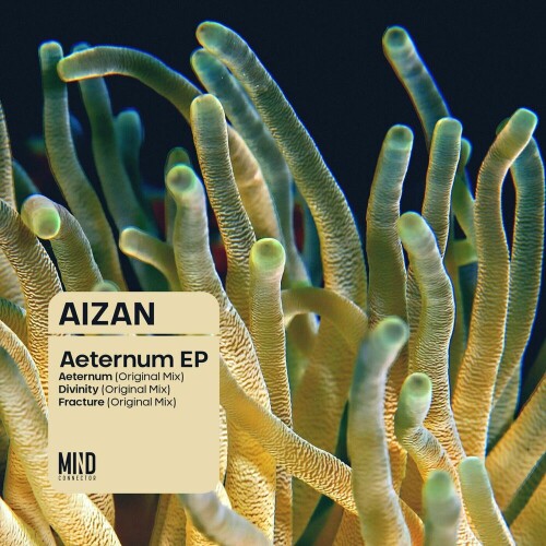 Aizan – Aeternum (2024)