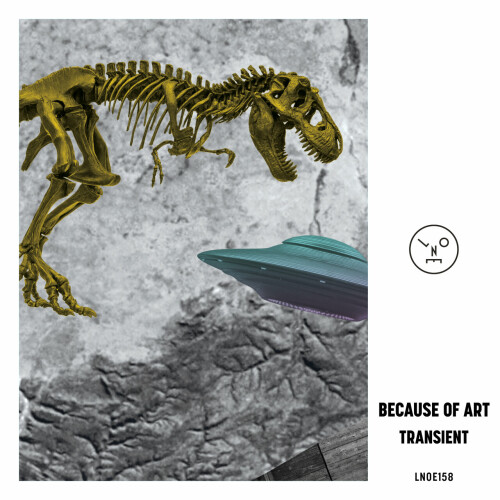 Because of Art – Transient (2024)