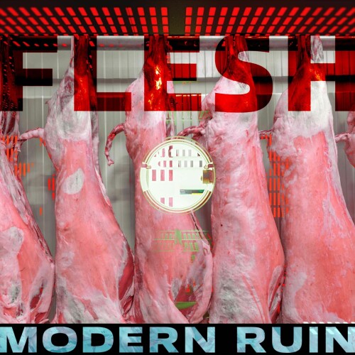 Modern Ruin – Flesh (2022)