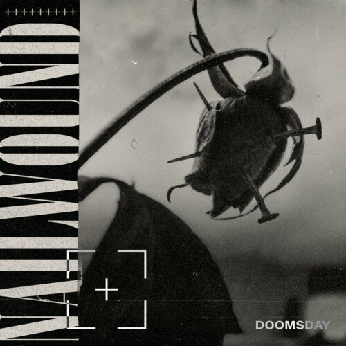 Nailwound - Doomsday (2021) Download