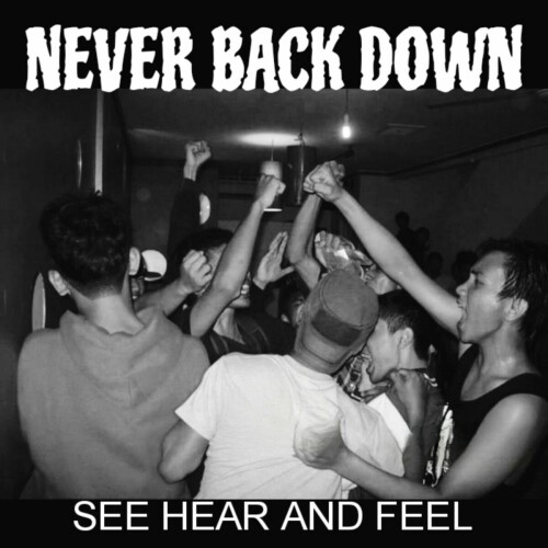 Never Back Down – See Hear And Feel (2010)