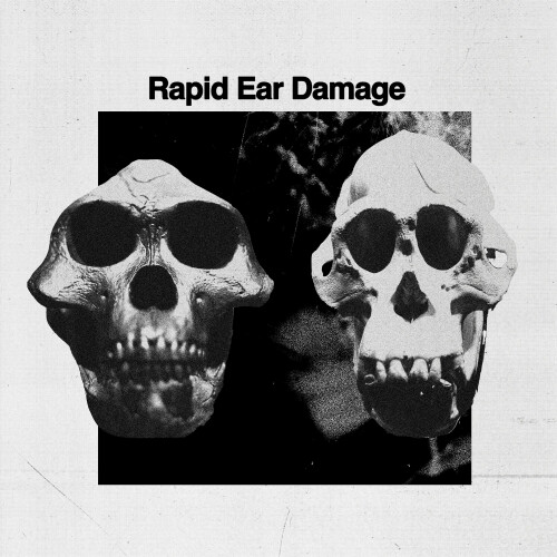 Rapid Ear Damage – R.E.D (2023)