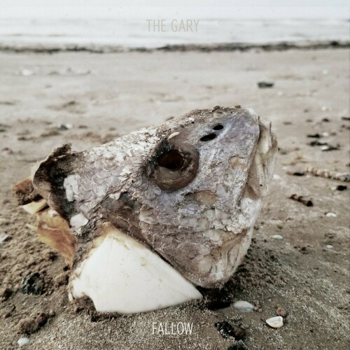 The Gary - Fallow (2021) Download