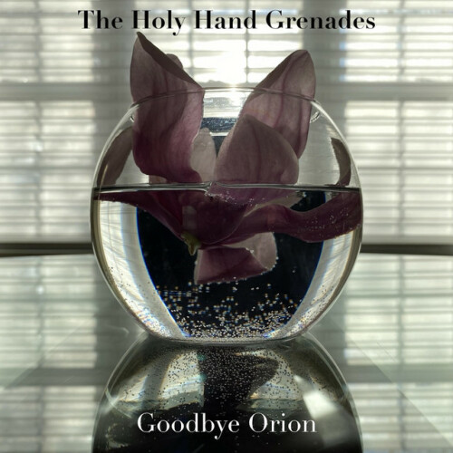 The Holy Hand Grenades - Goodbye Orion (2024) Download