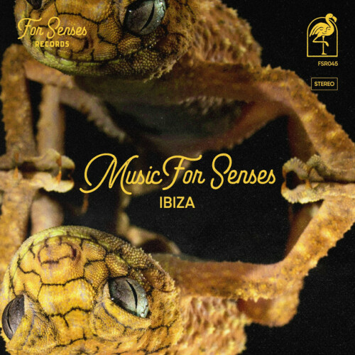 Various Artists – Music for Senses IBIZA 2024 (2024)