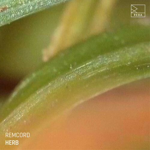 Remcord – Herb EP (2024)