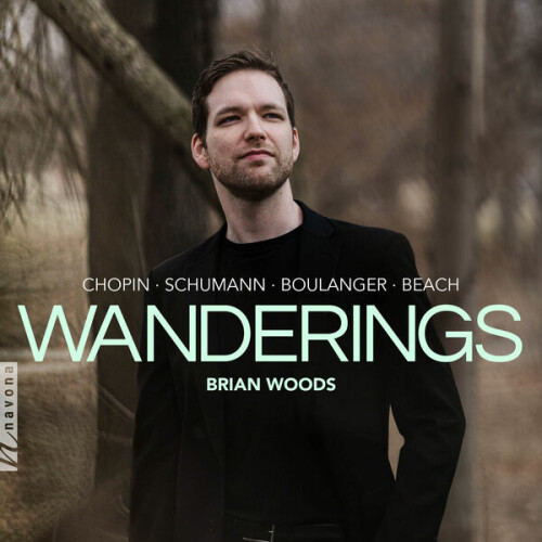 Brian Woods – Wanderings (2024)