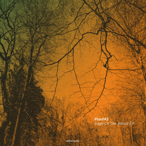 Plant43 – Edge Of The Wood (2018)