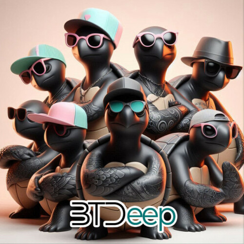 Various Artists - Btdeep Summer 2024 (2024) Download