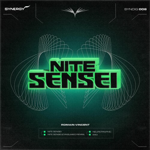 Vincent Romain - Nite Sensei (2024) Download