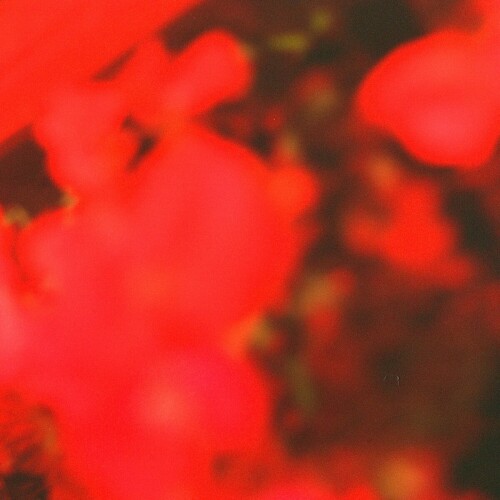 Ana Rs - In The Warmth Of The Red Lights (2024) Download