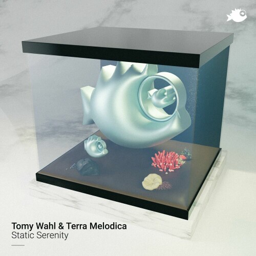 Tomy Wahl & Terra Melodica - Static Serenity (2024) Download