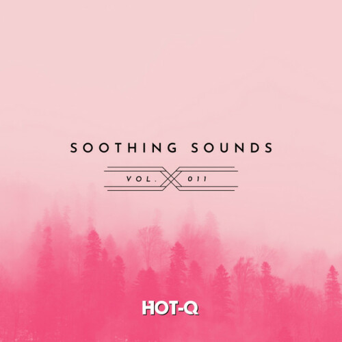 Various Artists - Soothing Sounds 011 (2024) Download