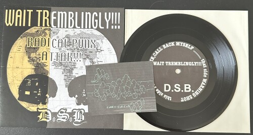 D.S.B. – Wait Tremblingly!!! (2003)