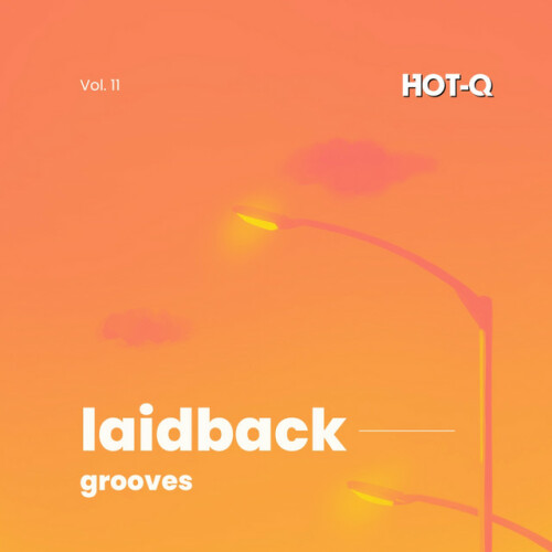 Various Artists - Laidback Grooves 011 (2024) Download