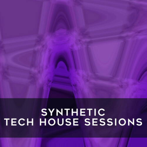 Various Artists – Synthetic Tech House Sessions (2024)