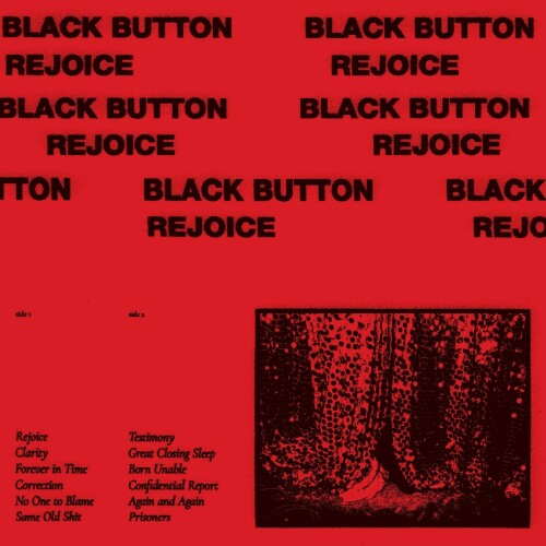 Black Button-Rejoice-16BIT-WEB-FLAC-2023-VEXED