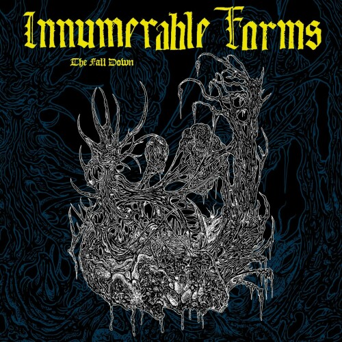Innumerable Forms-The Fall Down-16BIT-WEB-FLAC-2023-VEXED
