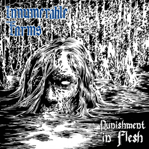 Innumerable Forms-Punishment In Flesh-16BIT-WEB-FLAC-2018-VEXED