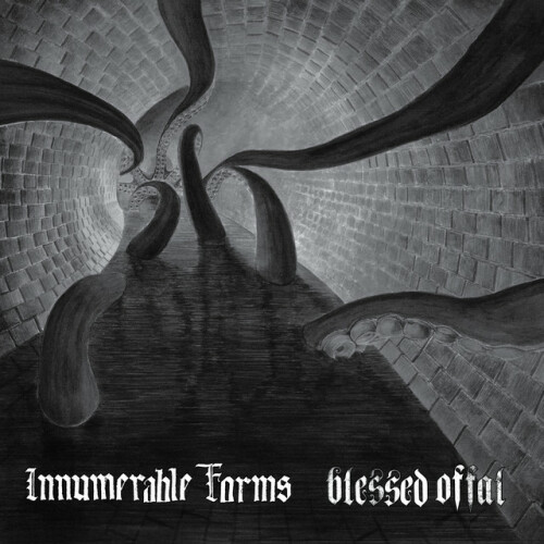 Innumerable Forms  Blessed Offal-Innumerable Forms  Blessed Offal-Split-16BIT-WEB-FLAC-2013-VEXED