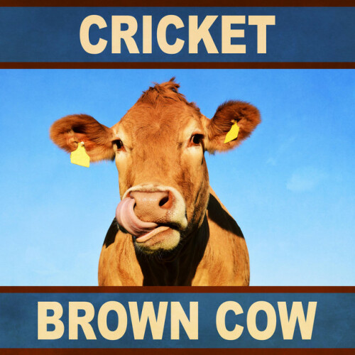 Huntingtons – Foundations, Vol. 6 (Cricket – Brown Cow) (2021)