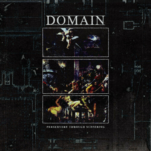Domain-Persevere Through Suffering-16BIT-WEB-FLAC-2021-VEXED