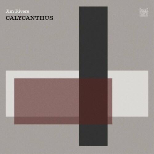 Jim Rivers - Calycanthus (2024) Download