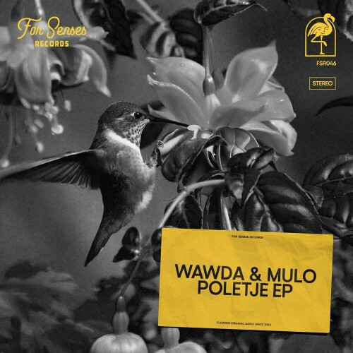 Wawda & Mulo – Poletje (2024)