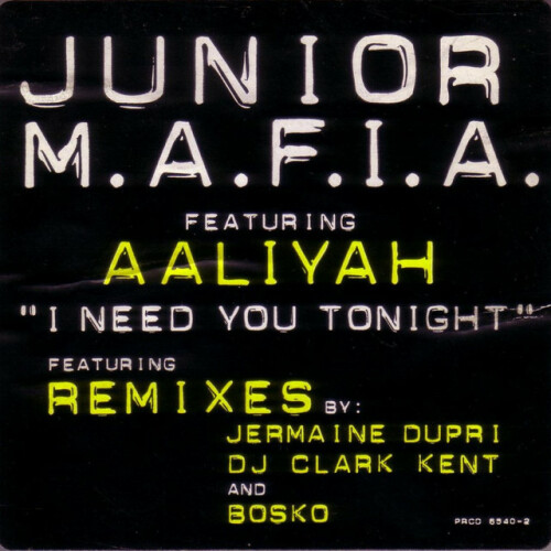 Junior M.A.F.I.A. - I Need You Tonight Remixes (1995) Download