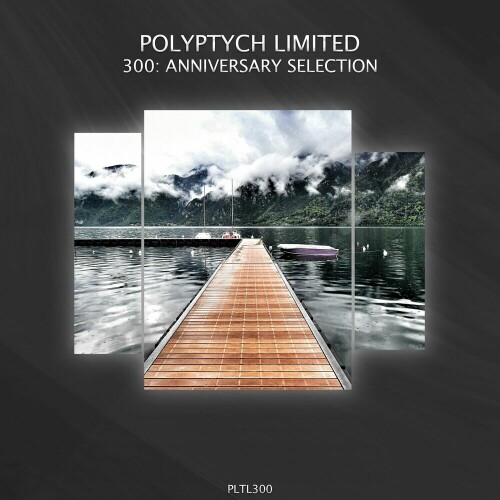 Various Artists – Polyptych Limited Year Four (2024)