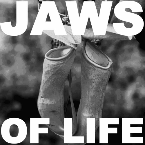 Jaws Of Life - Jaws Of Life (2024) Download