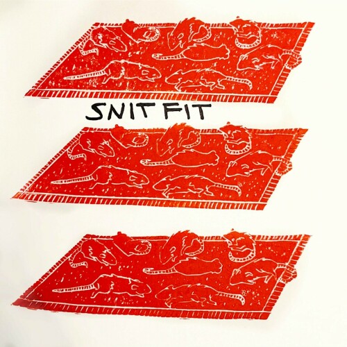 Snitfit - Snitfit (2024) Download