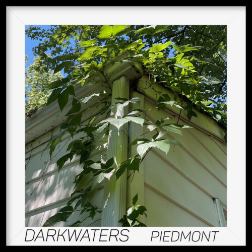 Dark Waters – Piedmont (2024)