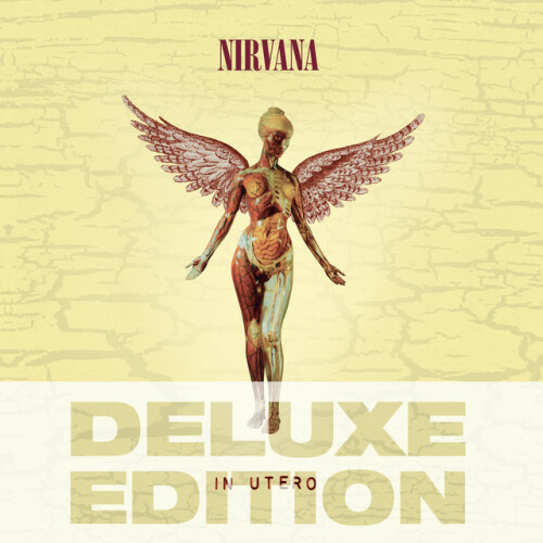 Nirvana – In Utero: 30th Anniversary Deluxe Edition (2023)