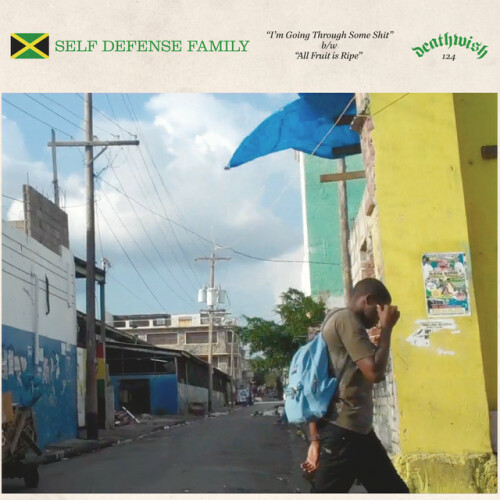 Self Defense Family - I'm Going Through Some Shit / All Fruit is Ripe (2011) Download