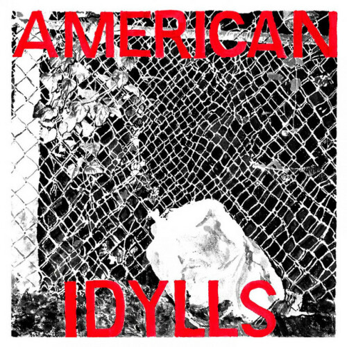 Various Artists - American Idylls (2019) Download