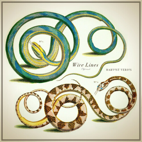 Wire Lines - Harvest Verses (2021) Download