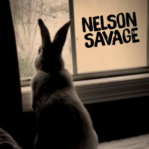 Nelson Savage – Guide Them Home (2020)