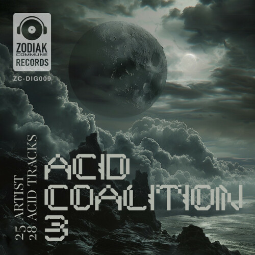 Various Artists - Acid Coalition 3 (2024) Download