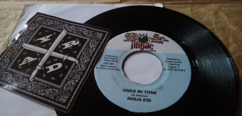 Chris Knight & Lennox Swaby - Unda Mi Tone (1999) Download