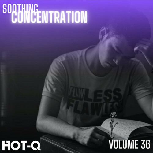 Various Artists – Soothing Concentration 036 (2024)