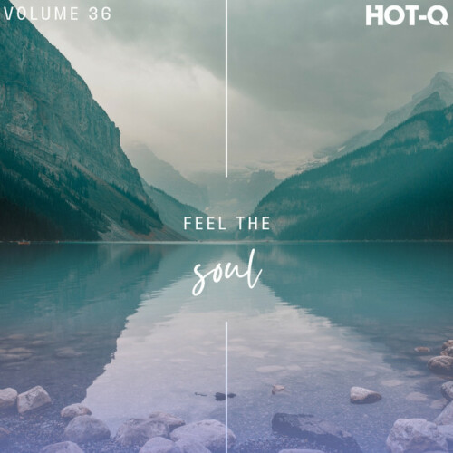 Various Artists – Feel The Soul 036 (2024)