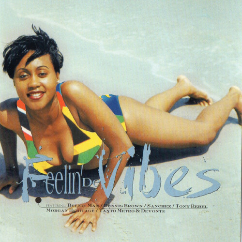 Various Artists – Feelin’ De Vibes (1999)