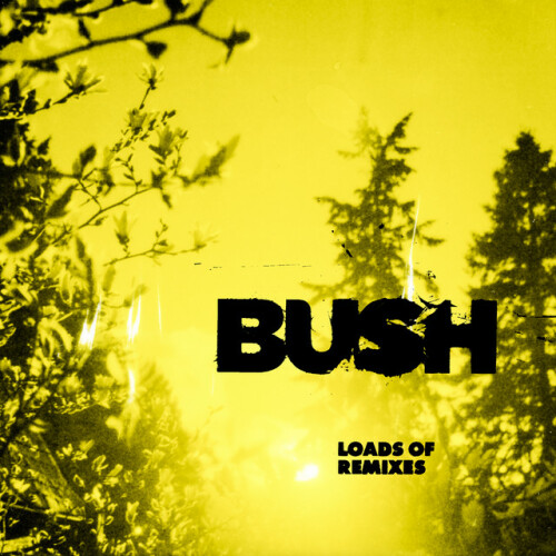 Bush – Swallowed (2024)