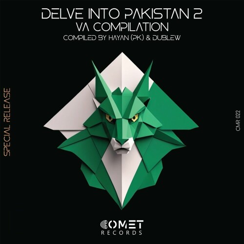 Various Artists – Delve Into PAKISTAN II (2024)