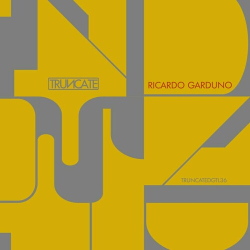 Ricardo Garduno - Non Sense (2024) Download